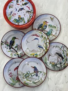 six plates with birds painted on them sitting on a counter top next to each other