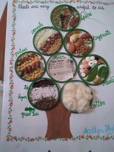 a tree made out of plates with different foods in them and labeled on the leaves