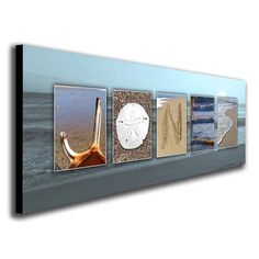 the four pictures are hanging on the wall above the sand and water, which is decorated with shells