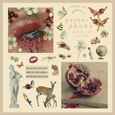 a collage of photos with flowers, birds and other things in the background that include pomegranates