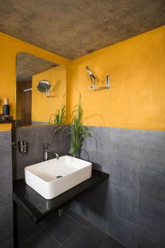 a bathroom with a sink, mirror and plant on the counter in front of it