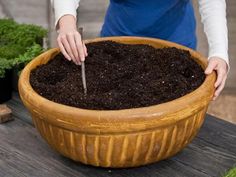 a person is digging dirt into a potted plant