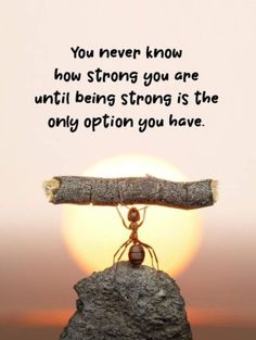 an ant standing on top of a rock with a quote above it that says, you never know how strong you are until being strong is the only option you have