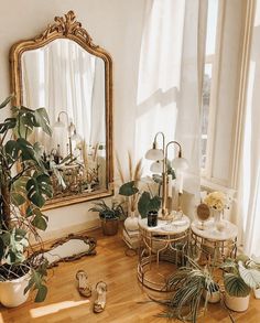 a room filled with lots of plants and mirrors