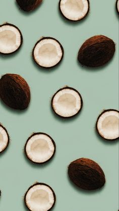 coconuts are arranged in rows on a blue background