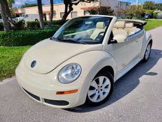 a white convertible car parked on the side of a road in front of palm trees