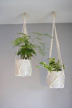 two hanging planters with plants in them