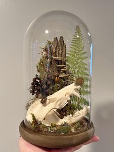 a hand holding a snow globe with plants and animals in it's glass dome