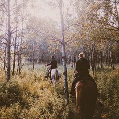 two people are riding horses through the woods