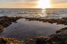 the sun is setting over the ocean with rocks and seaweed