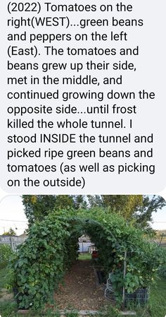 an open garden with lots of plants growing in it and the caption below that says,