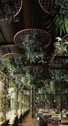 an indoor dining area with plants hanging from the ceiling and tables set up for people to eat