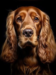 a close up of a dog's face on a black background with its reflection