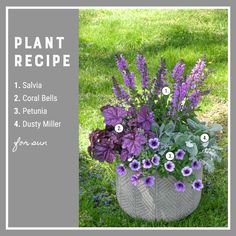 a planter filled with purple flowers sitting in the grass