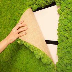 a person is holding a piece of fabric over some green moss