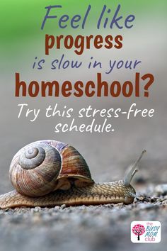 Homeschool can be stressful. If you struggle with consistency in your homeschool routine or your children are fighting you about your current homeschool schedule - try a loop schedule. Learn how (and why) to implement a loop schedule in your homeschool today. There are so many benefits to using a loop schedule. Some are: not pushing enrichment subjects aside, having room and time for all your subjects, more variety in your homeschool day, and more! Learn how to create your loop routine! Loop Schedule, Kindergarten Homeschool Schedule, Homeschool Lesson Plans, Homeschool Freebies, Homeschool Tips, Kindergarten Lesson Plans