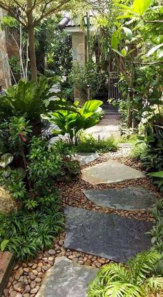 a garden with lots of plants and rocks on the ground, along with stones in the middle