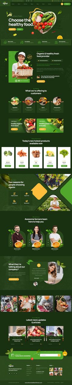 Ogenix - Organic Food Store WordPress Theme Grocery Store Website, Grocery Website, Food Website Design, Organic Food Store, App Interface Design