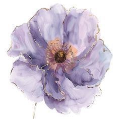 a purple flower with gold stamens on it's center is shown against a white background