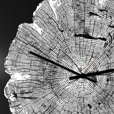 a clock that is made out of tree trunks and has numbers on each side of it