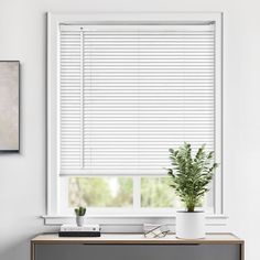 a window with white blinds and a potted plant on the side table in front of it