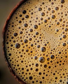 a close up view of the top of a coffee cup with water droplets on it