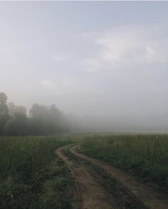 a dirt road in the middle of a foggy field