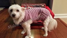 a small white dog wearing a pink sweater standing on the floor next to a suitcase