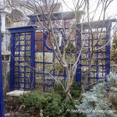 a blue gate is next to a tree and shrubbery