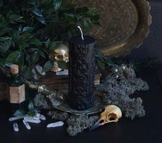 a black candle sitting on top of a table next to a skull and some plants