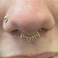 a close up view of a nose with gold jewelry on it