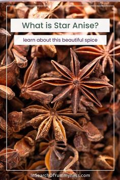 star anise with the words what is star anise? learn about this beautiful spice