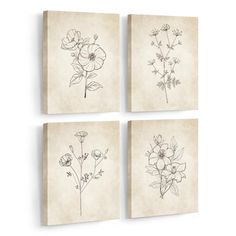 three flowers are shown in black and white on the canvass, one is drawn with ink