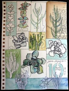 an open book with flowers and plants drawn on the pages in watercolors, ink