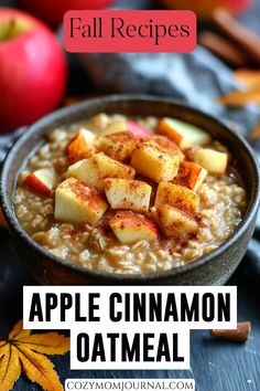 Bowl of apple cinnamon oatmeal topped with apple slices and sprinkled with cinnamon, surrounded by fall-themed decor. Homemade Oatmeal Healthy, Oatmeal With Apples And Cinnamon, Apple And Cinnamon Oatmeal, Nutritional Breakfast Ideas, Fall Oatmeal Recipes, Stove Top Oatmeal Recipes, Oatmeal Easy Recipes, Hot Oatmeal Recipes, Oatmeal Recipes Breakfast Healthy