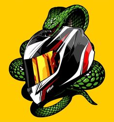 a motorcycle helmet with a snake wrapped around it