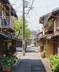 an alley way with lots of plants and buildings on both sides, surrounded by power lines