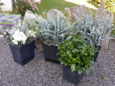 three planters with flowers in them sitting on gravel