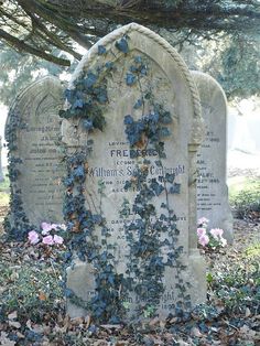 an old grave with vines growing on it