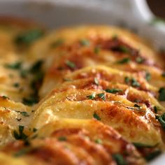 a close up of a plate of food with broccoli and cheese on it