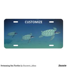 two sea turtles swimming in the ocean with custom license plates