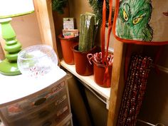 there are many plants and other items on the shelf