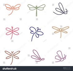 six dragonflys in different colors on a white background