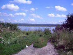 a dirt road next to a body of water with grass and flowers on both sides