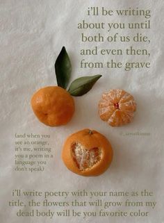 two oranges and an apple on a piece of paper with the words i'll be writing about you until both of us die, and even then, from the grave