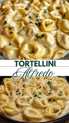 Tortellini Alfredo Creamy Cheesy Tortellini Crock Pot, Quick Easy Dinner Meals Families, Tortellini Pasta Recipes Alfredo Sauce, Smoked Sausage Tortellini Alfredo, Tortellini In The Crockpot, Quick Cheap Meals For Two, Creamy Tortellini Casserole, Recipes That Use Cheese Tortellini, Tortellini Hotdish