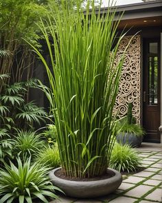 a large plant in a pot on the ground next to some grass and plants around it