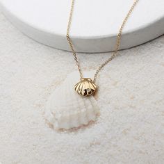 Material : Brass, Cubic Shell : 8mm x 8.5mm White Tarnish Resistant Necklace For Gift, White 16 Inch Jewelry As Gift, Tarnish Resistant White Necklace For Gift, White Dainty Shell Necklace As A Gift, Gift Shell Necklace With Lobster Clasp, Dainty White Shell Necklace For Gift, Gold Shell Necklace, Dainty White Shell Necklace For Gifting, Nickel-free White Necklace As A Gift For Her