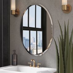 a bathroom sink with a mirror above it and a potted plant in the corner