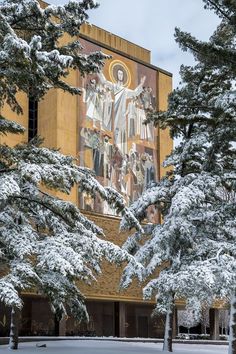 the building is surrounded by snow covered trees